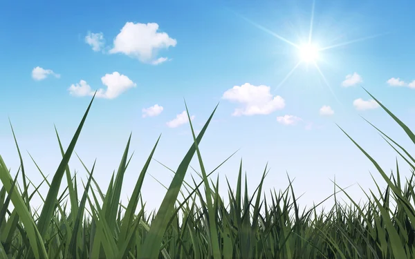 Wiese mit Gras, Sonnenschein und Wolken — Stockfoto