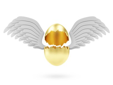 Angel beyaz kanatlı altın yumurta