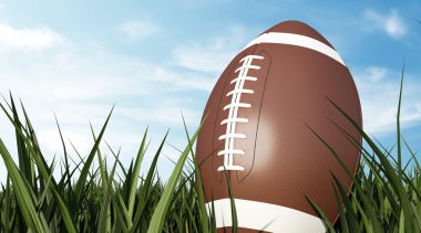 kahverengi rugby topu