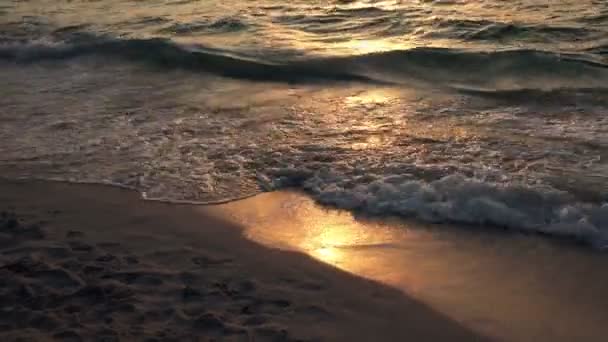 Vågorna tvätta försiktigt upp stranden — Stockvideo