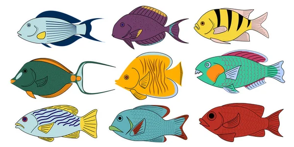 Conjunto Peces Dibujos Animados Coral Tropical Ilustración Vectorial — Archivo Imágenes Vectoriales