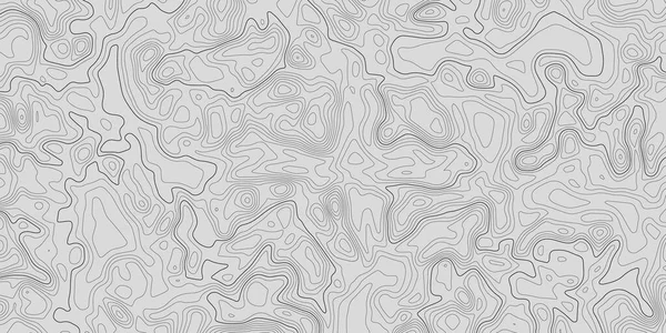 Abstrakte Topografische Linien Auf Weißem Hintergrund Topografische Linien Konturenkonzept Geographisches — Stockvektor