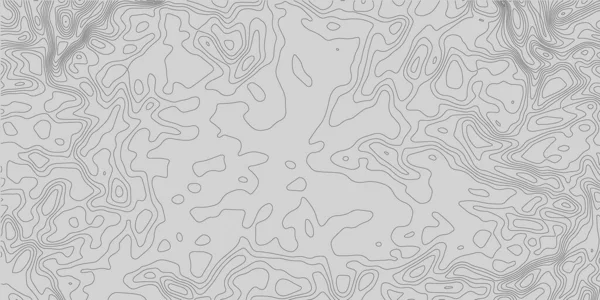 Abstrakter Topografischer Hintergrund Topografische Linien Konturenkonzept Geographische Gitterkarte Vektorillustration — Stockvektor