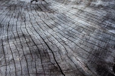 eski ahşap arka plan