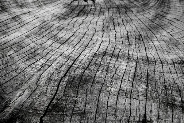 Oude hout achtergrond — Stockfoto