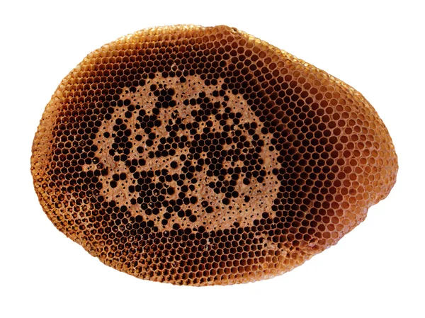 Honeycomb aislar fondo blanco — Foto de Stock