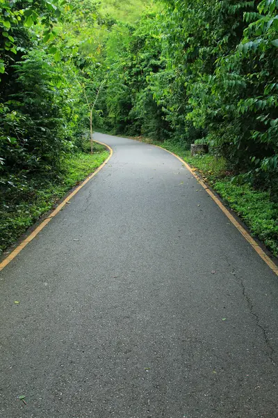 Estrada para a floresta tropical — Fotografia de Stock