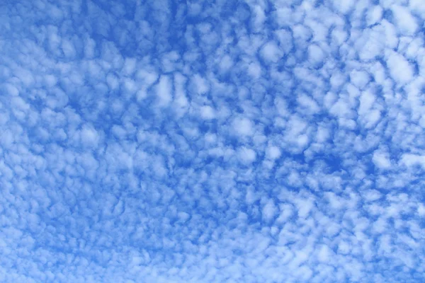 Ciel bleu avec nuage — Photo