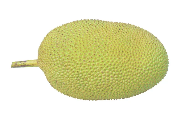 Jack fruit isolated on white background — Stock Photo, Image