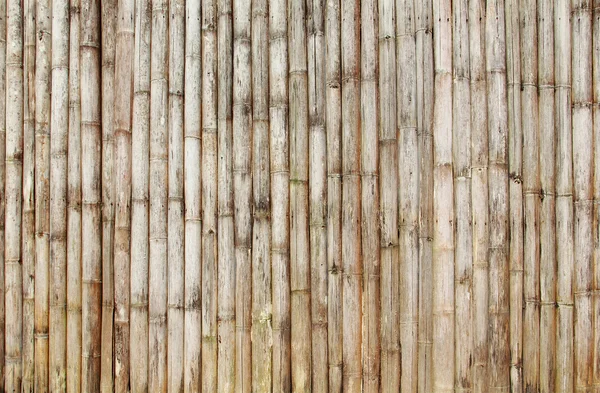 Bamboo wall — Stockfoto