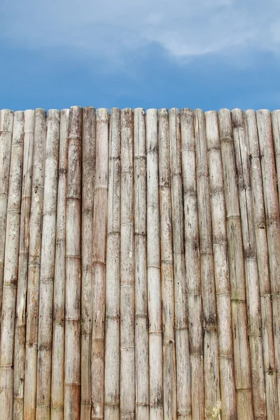 Parede de bambu — Fotografia de Stock