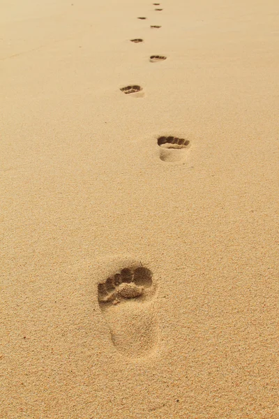 Footprints on the beach sand Royalty Free Stock Images