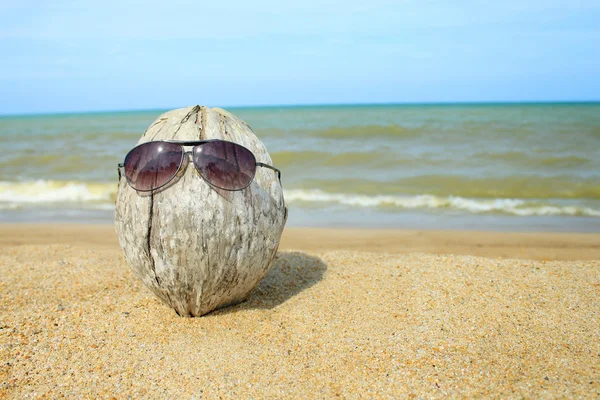 Old coconut lounging on the beach — Stock Photo, Image