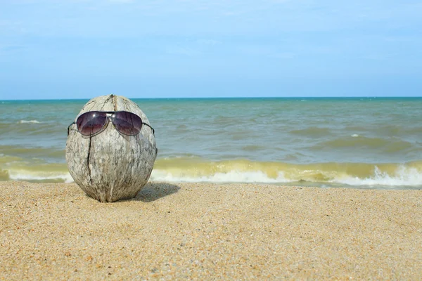 Old coconut lounging on the beach — Stock Photo, Image