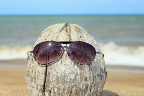 Old coconut lounging on the beach — Stock Photo, Image