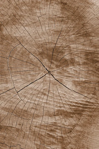 Close-up van houtstructuur — Stockfoto