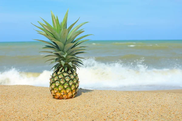 Pineapple on the beach with blue sky — Stock Photo, Image