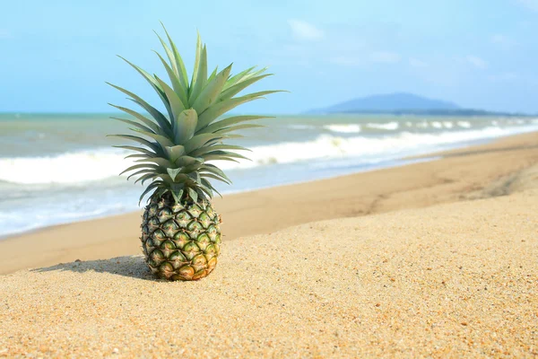 Ananas op het strand met de blauwe hemel — Stockfoto