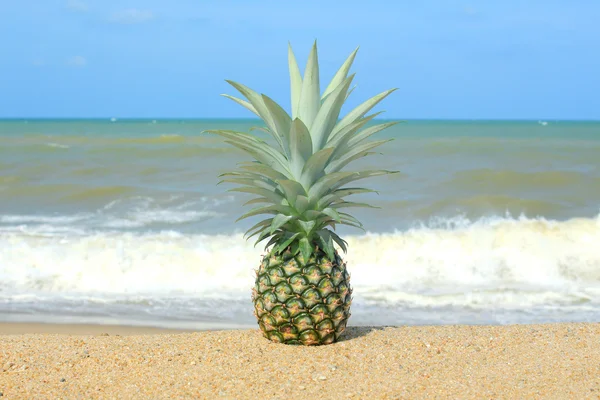 Ananas na plaży z błękitnego nieba — Zdjęcie stockowe