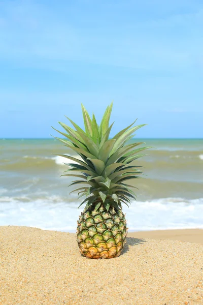 Ananas na plaży z błękitnego nieba — Zdjęcie stockowe