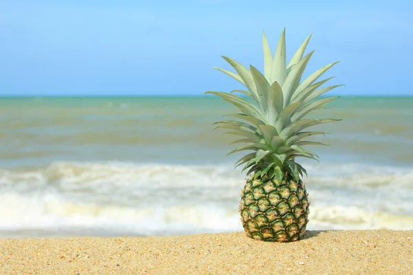 Ananas mavi gökyüzü ile sahilde — Stok fotoğraf