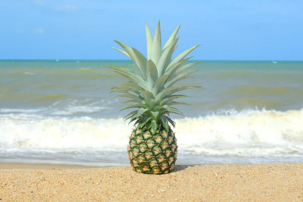 Ananas mavi gökyüzü ile sahilde — Stok fotoğraf