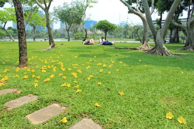 Kadınlar çimenlerin üzerinde rahatlatıcı