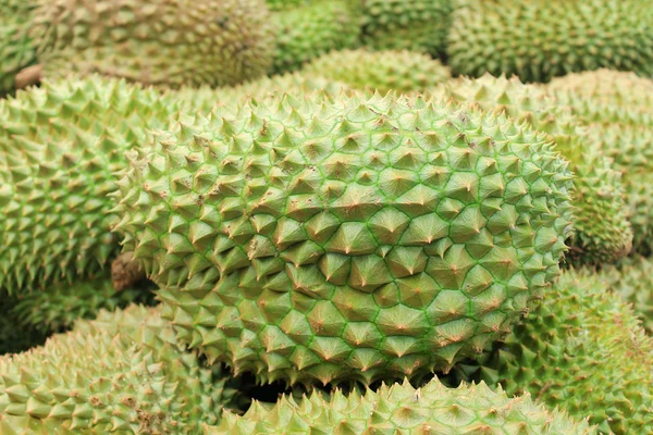 Durian in the market Thailand — Stock Photo, Image