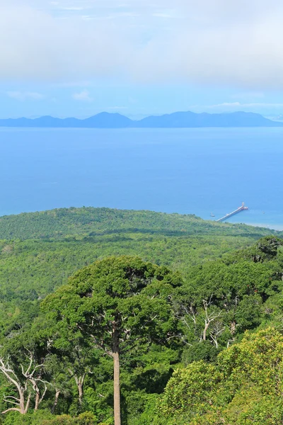 Yeşil tropikal Vadisi ile ormanları Krabi, Tayland — Stok fotoğraf