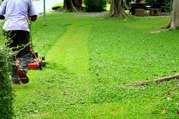 Césped verde se corta cortacésped — Foto de Stock