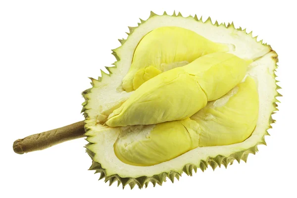 Durian aislado en blanco — Foto de Stock