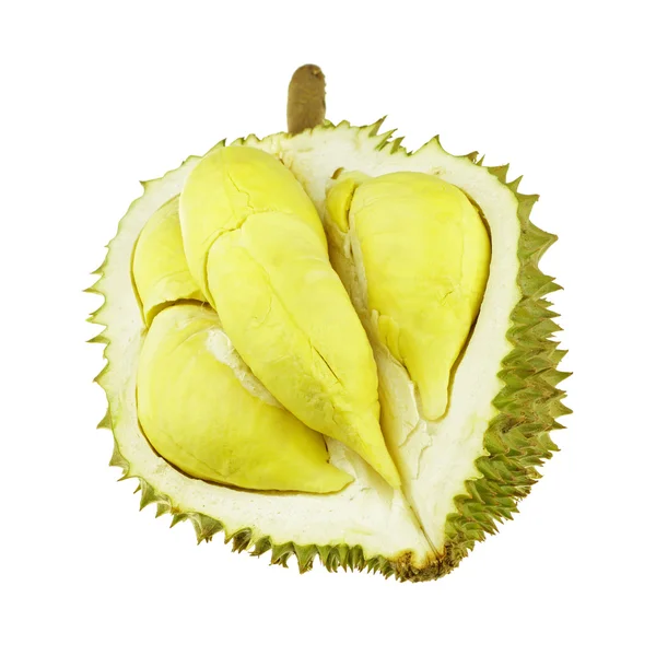 Durian aislado en blanco — Foto de Stock