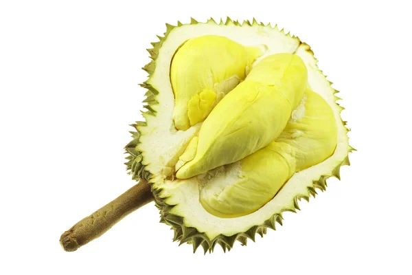 Durian isolerad på vit — Stockfoto