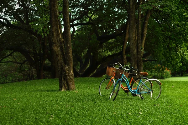 Bicycle in the garden — Stock Photo, Image