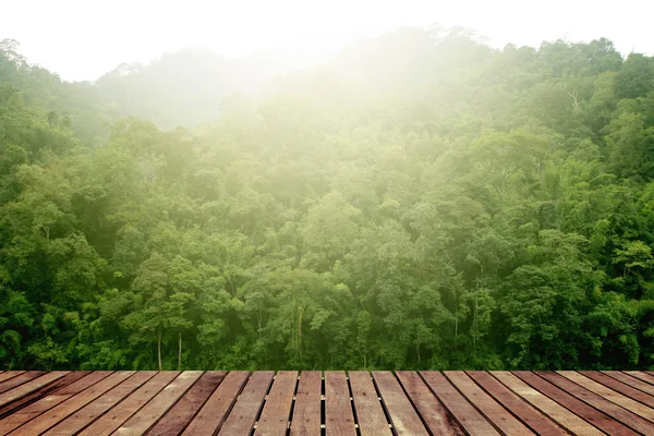 Tropical forest above a wooden floor — Stock Photo, Image