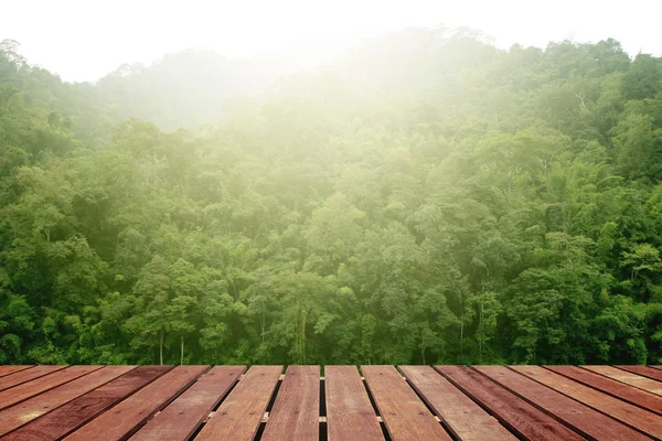 Bosque tropical sobre un suelo de madera —  Fotos de Stock