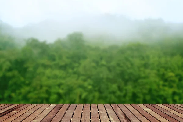 Floresta tropical acima de um chão de madeira — Fotografia de Stock