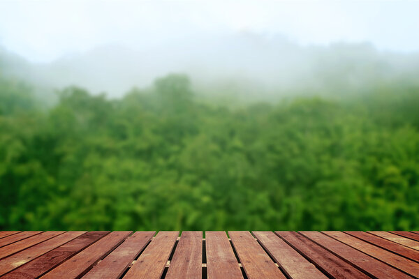 Tropical forest above a wooden floor