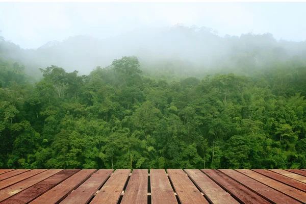 Floresta tropical acima de um chão de madeira — Fotografia de Stock