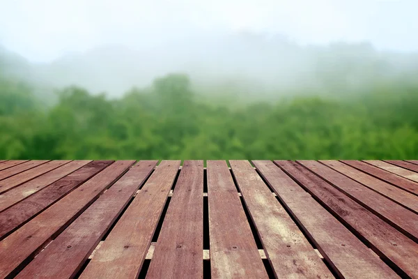 Тропический лес над деревянным полом — стоковое фото