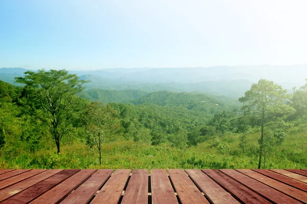 Tropical forest above a wooden floor — Stock Photo, Image