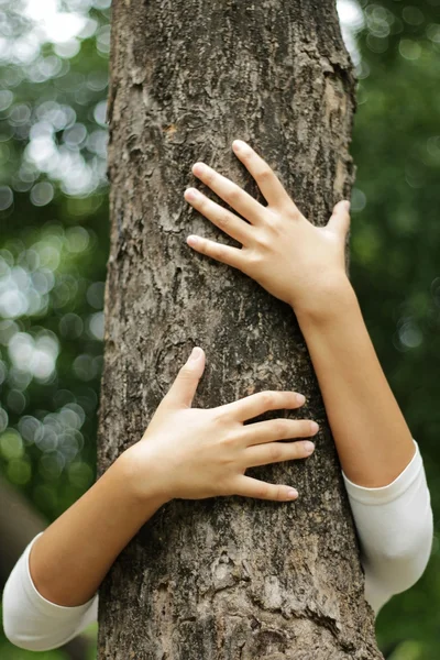 Handen een stam van een boom knuffelen in zomer park — Stockfoto
