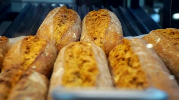 Moderne Lebensmittel. Frisch gebackenes Brot in verschiedenen Sorten steht in der Vitrine. Nahaufnahme — Stockvideo