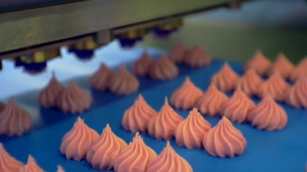 Moderna produzione alimentare.una macchina speciale fa torte da crema densa. le torte finite si muovono lentamente lungo il nastro trasportatore. ripresa di un primo piano di un processo tecnologico. profondità di campo poco profonda. — Video Stock