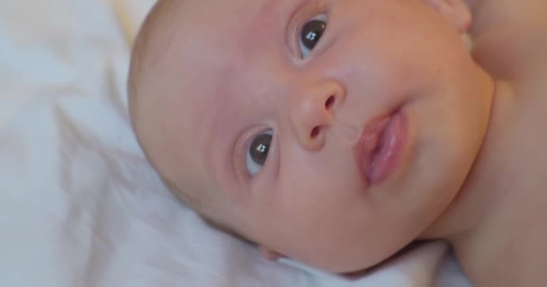 Portret van een schattige baby die op een laken ligt met een verrassende blik — Stockvideo