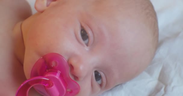 Söt baby spädbarn med rosa napphållare i munnen ligger i sängen. Porträtt. närbild — Stockvideo