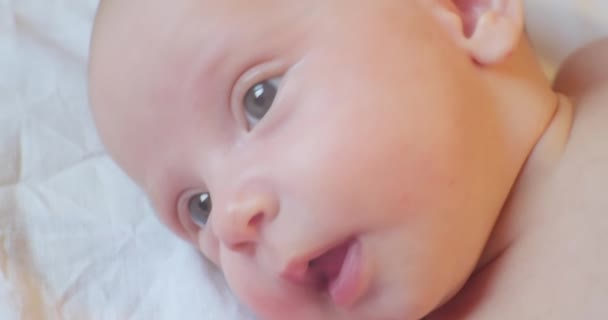 Cute baby infant lying in bed. portrait. close-up — Stock Video