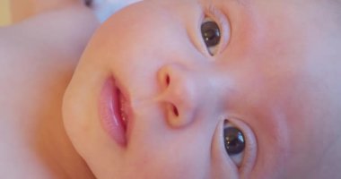 Modern, şirin, yeni doğmuş bebek portresi. Kameraya bakarken komik.