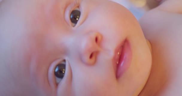 Retrato de um pequeno bebê recém-nascido bonito com um olhar curioso.extremamente close-up — Vídeo de Stock