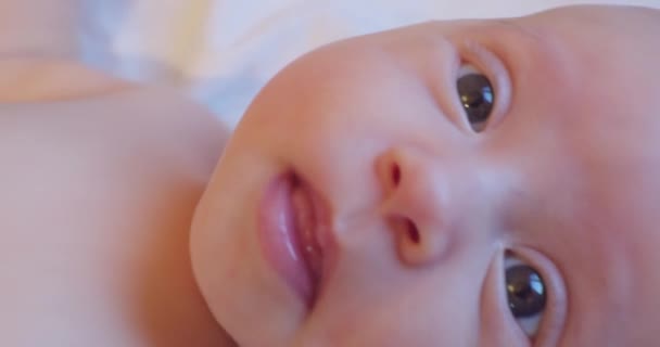 Portrait de moderne mignon petit nouveau-né avec look drôle. — Video